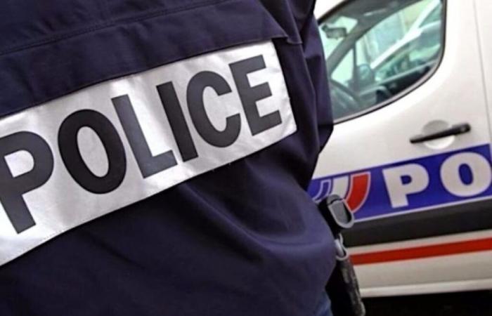 A woman gives birth in her car in the middle of Paris, helped by BAC police officers