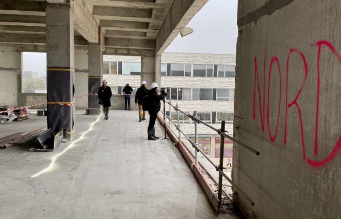 what will the gigantic Pont de Bois library look like?