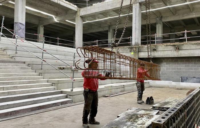 what will the gigantic Pont de Bois library look like?