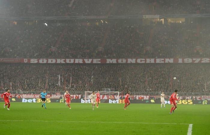 FC Bayern: Heart attack in the Allianz Arena! Fan dies in win against Benfica Lisbon | sport