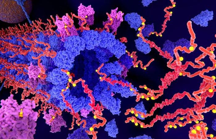 target the Tau protein?