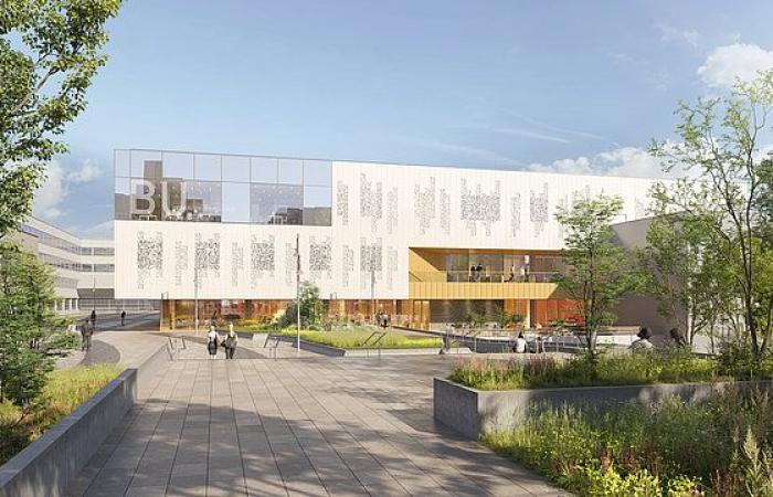 what will the gigantic Pont de Bois library look like?