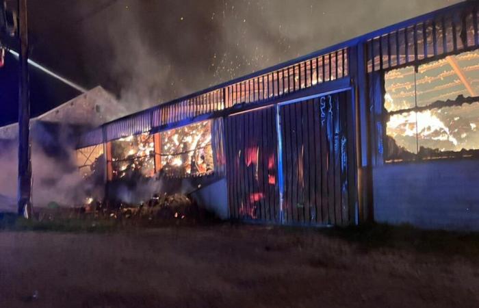 Côte-d’Or. A 1000 square meter agricultural shed catches fire. 31 firefighters mobilized