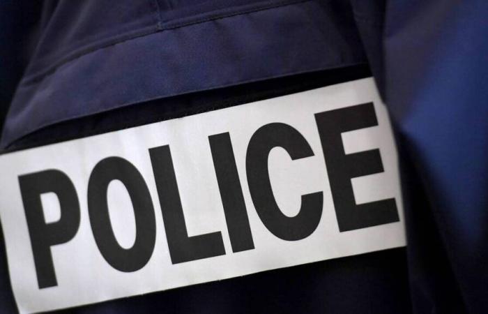 a mother suspected of violence against her 4-year-old son in Essonne