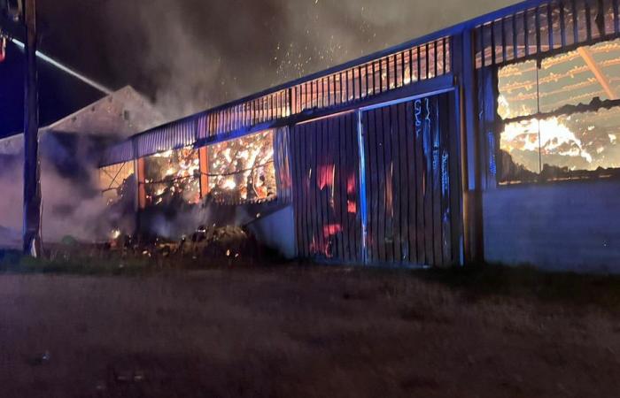 Fire on a rapeseed oil producing farm, around thirty firefighters involved