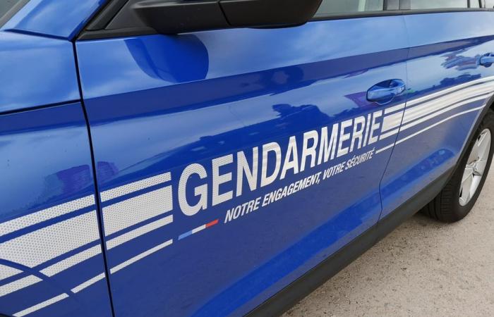 a 7-year-old girl found dead in a house in Puy-de-Dôme