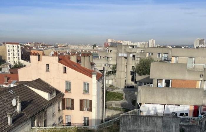 why the merger of these two landlords of Seine-Saint-Denis is good news