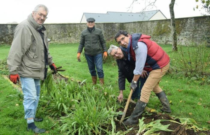 Villaines-la-Juhel. A culinary evening around vegetables on November 13