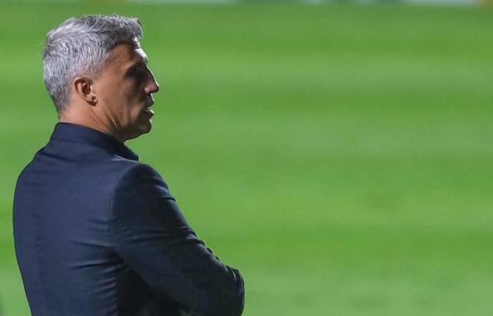 Hernan Crespo, sacked, is no longer the coach of Al Ain FC (United Arab Emirates)