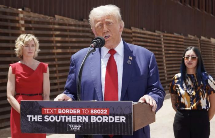 Mass expulsion of illegal immigrants is “priceless”, according to Trump