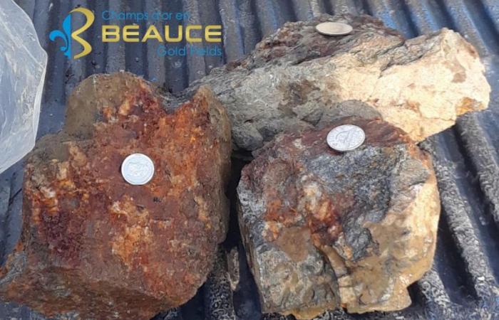 Champs D’Or En Beauce Discovers New Mineralized Outcrops That Align With “Saddle Reef” Antiform Structure