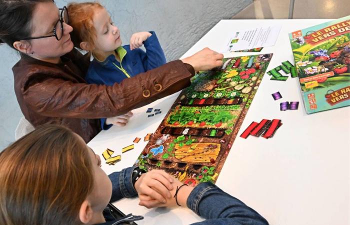 In Creuse, you can try board games at the Grand Guéret multimedia library