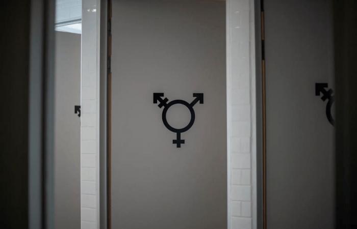 Gender-neutral toilets: the Vaud State Council flushes the toilet