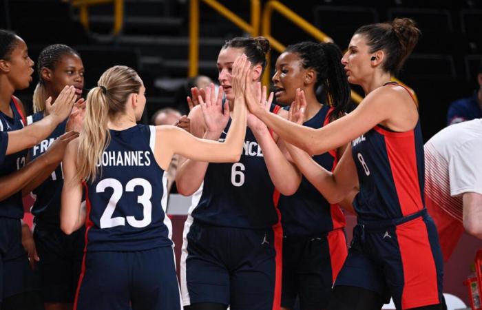 Basketball. France – Israel in Caen: why is the Conservatoire du Littoral hoping for a big score from Les Bleues?