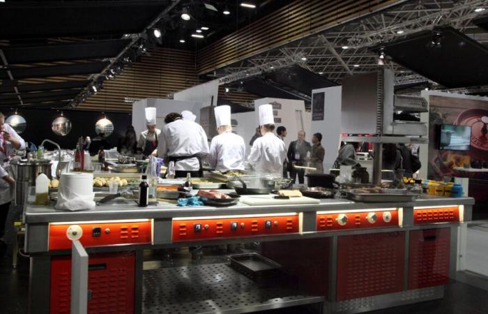 Deer in the spotlight at the next Bocuse d’Or