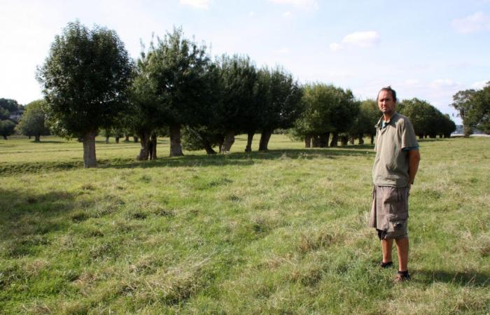 Maine-et-Loire. The Park unveils the winner of the “Meadows and Rangeland Agro-ecological Practices” competition