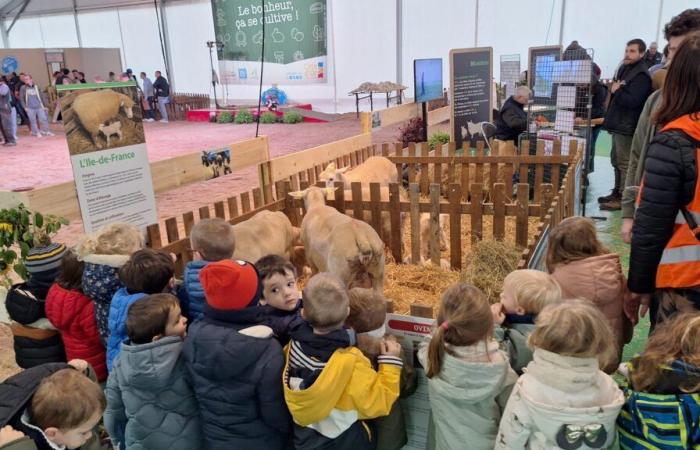 In pictures: the Ferme de Côte-d'Or opens its doors at the Dijon Gastronomic Fair