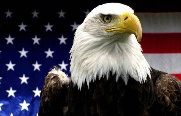 Quiz. Are you knowledgeable about the United States? – Evening edition West-France