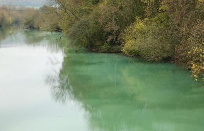 a company accidentally releases two tonnes of latex into the Meuse