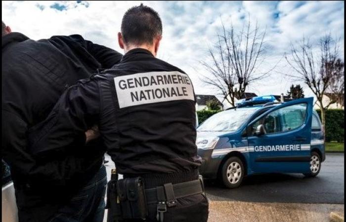 Landes – Pyrénées-Atlantiques – Series of thefts by trickery in sports halls: the gendarmerie puts an end to the actions of a man with compulsive gambling habits