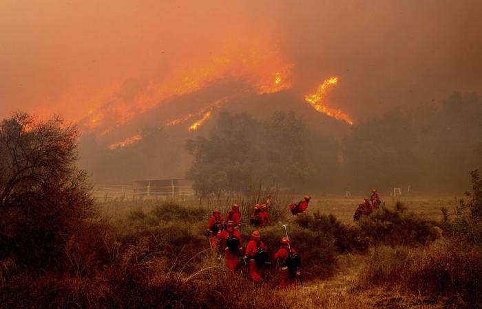 Large fire in California | More than a hundred homes destroyed near Los Angeles