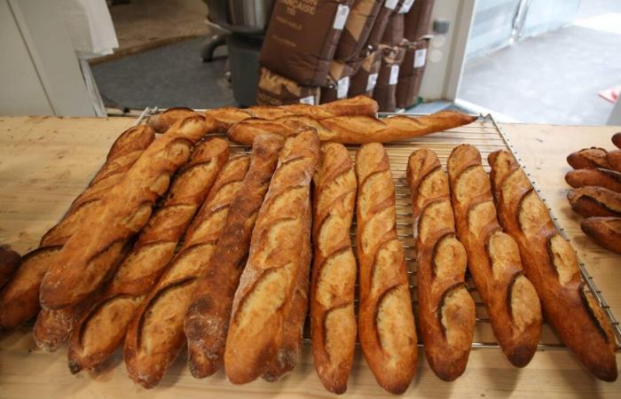 New record price for baguettes, is yours more expensive than elsewhere in France?