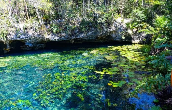 8 of the best cenotes near Tulum