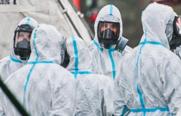 The entire country has been declared a risk area due to bird flu