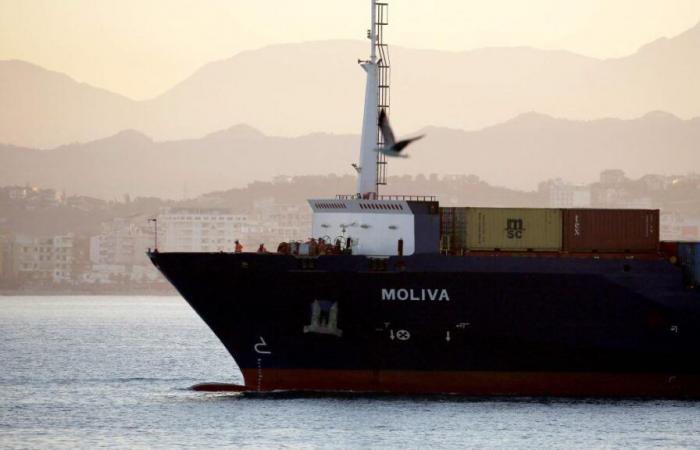 2,100 tonnes of suspicious waste: a ship’s cargo at the heart of an investigation