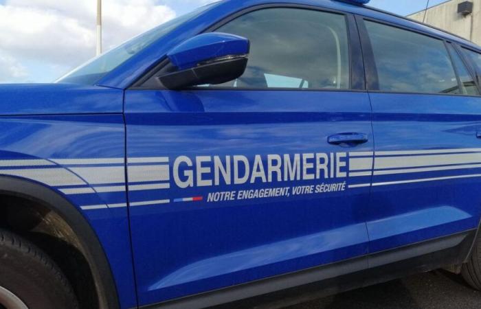 The driver wanted in Dordogne after a chase was arrested, stolen items found at his home