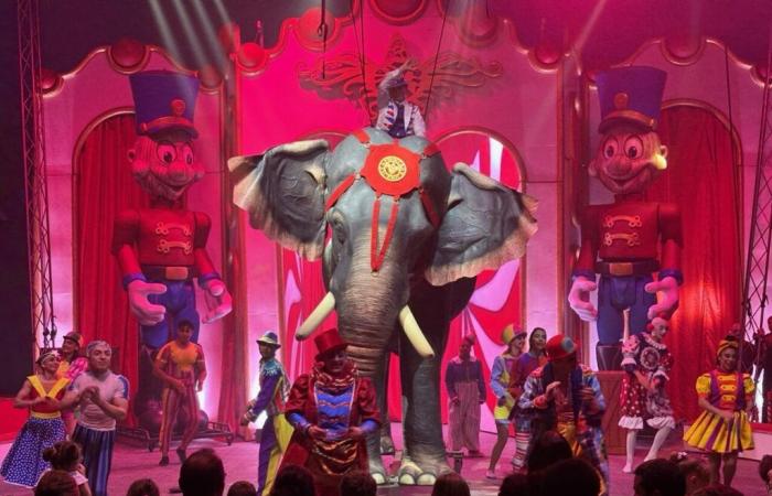 This circus show in Orléans is intended to be “a world first”