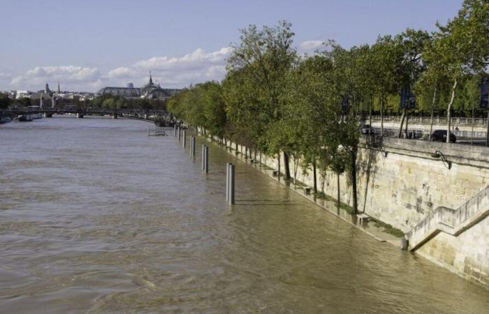 Paris town hall wants to prepare residents for the risk of flooding with “a major awareness-raising operation”