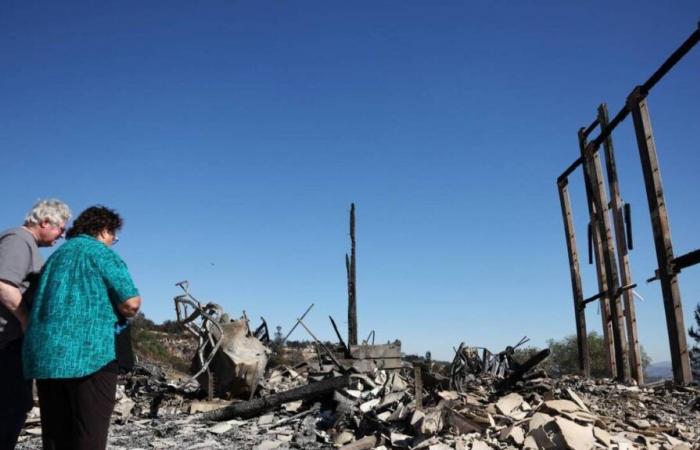 IN PICTURES. Landscapes of desolation and the advance of firefighters facing the fire near Los Angeles