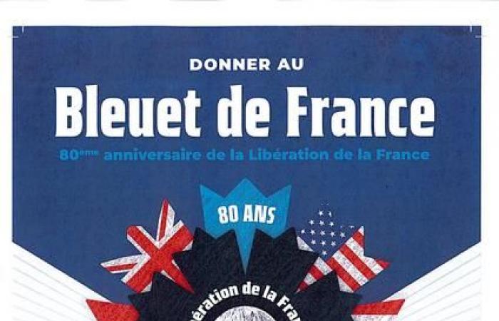 National Bleuet de France campaign – November 11, 2024 – News