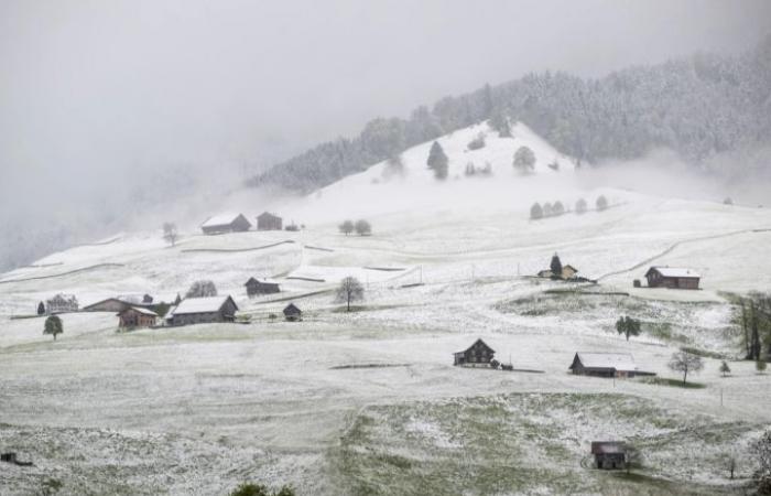 From Tuesday there will be snow up to 800 meters