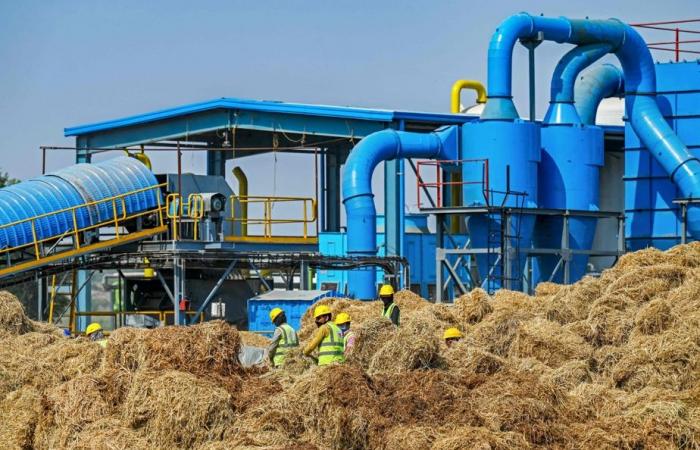 From dung to “green” fuel | India at full throttle on the path to bioenergy