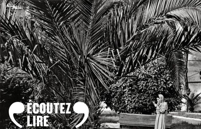 Goncourt for Kamel Daoud and Renaudot for Gaël Faye, the African continent rewarded