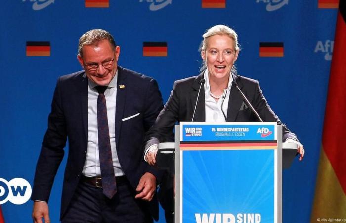 In Germany, the AfD presses for early elections – DW – 08/11/2024