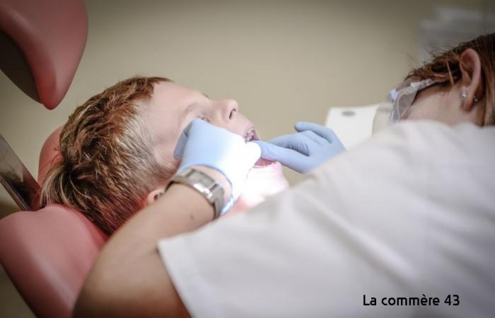 Physiotherapists and dentists: where are the under-resourced areas in Haute-Loire?