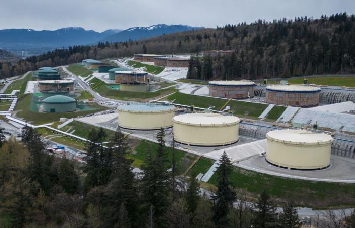 Parliamentary Budget Officer | Ottawa risks loss if it sells Trans Mountain