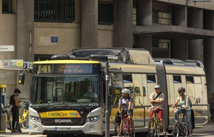 a tram driver attacked with a tear gas canister