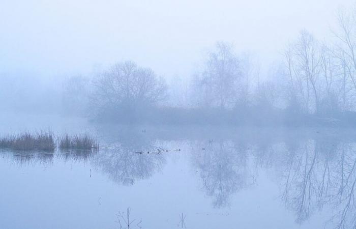 Overcast skies, absence of sun, fog: Indre-et-Loire is experiencing one of the worst early Novembers in 25 years