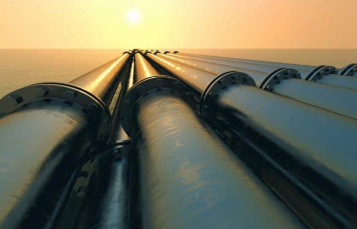 Land acquisition phase launched for the Nigeria-Morocco gas pipeline