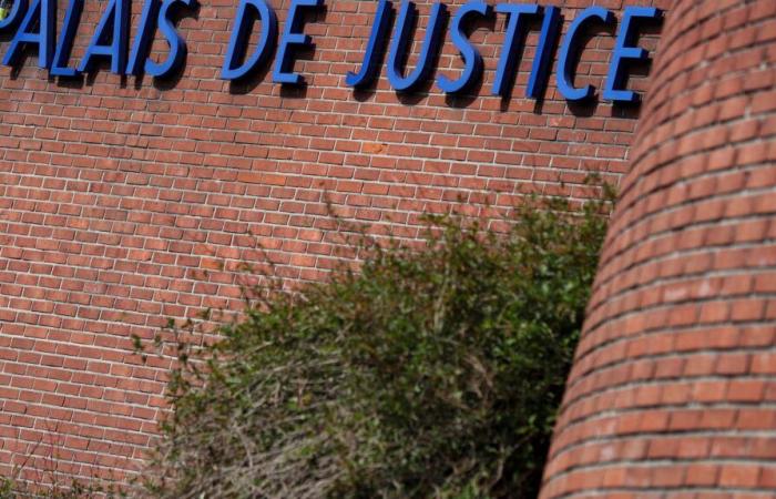 the Bobigny public prosecutor's office appeals the decision to place the mother under judicial supervision