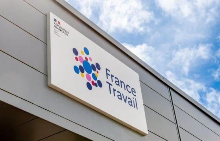 “I am a France Travail advisor, here is how much I earn per month”