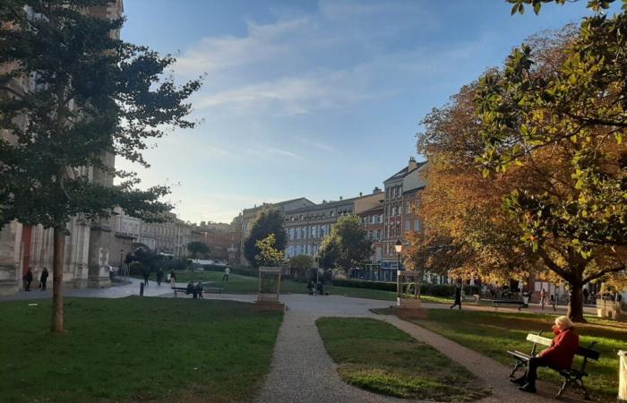 CARDS. Here are Météo France's forecasts for the long weekend of November 11 in Toulouse and Occitanie