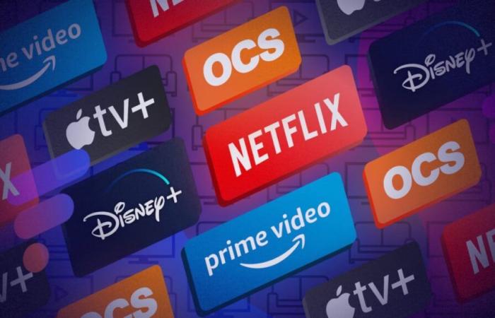 After Netflix and Disney+, another SVoD platform will hunt down password sharing… and increase its prices