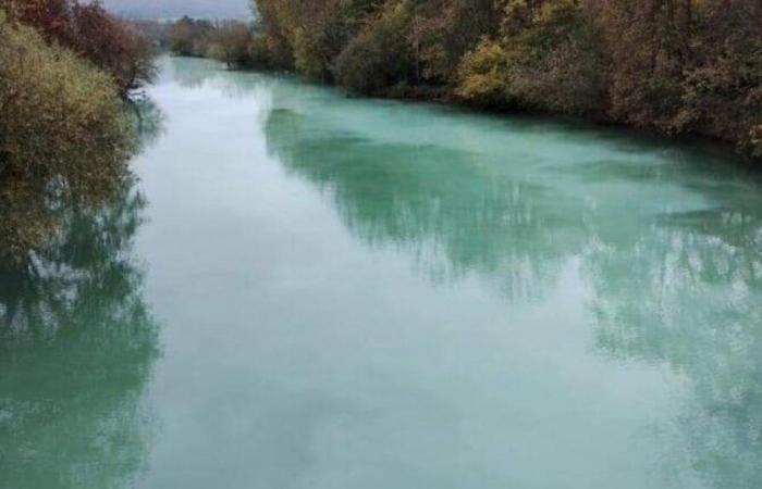 a company accidentally releases two tonnes of latex into the Meuse