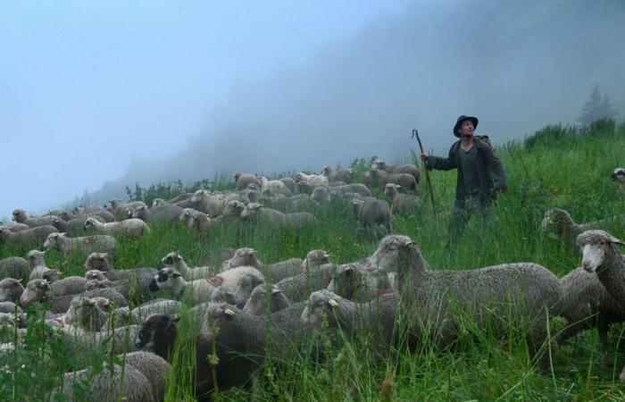 Shepherds, by Sophie Deraspe | Summit meeting