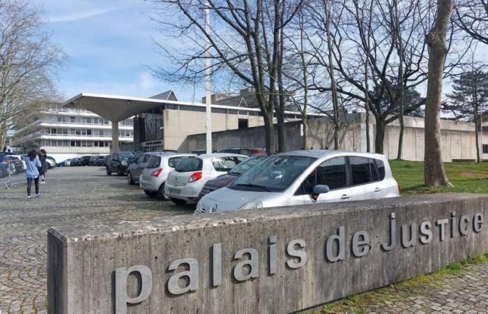 “He left his DNA everywhere”: in Essonne, four years in prison required for a serial burglar